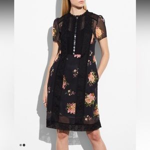 COACH Lacework Dress Size 0